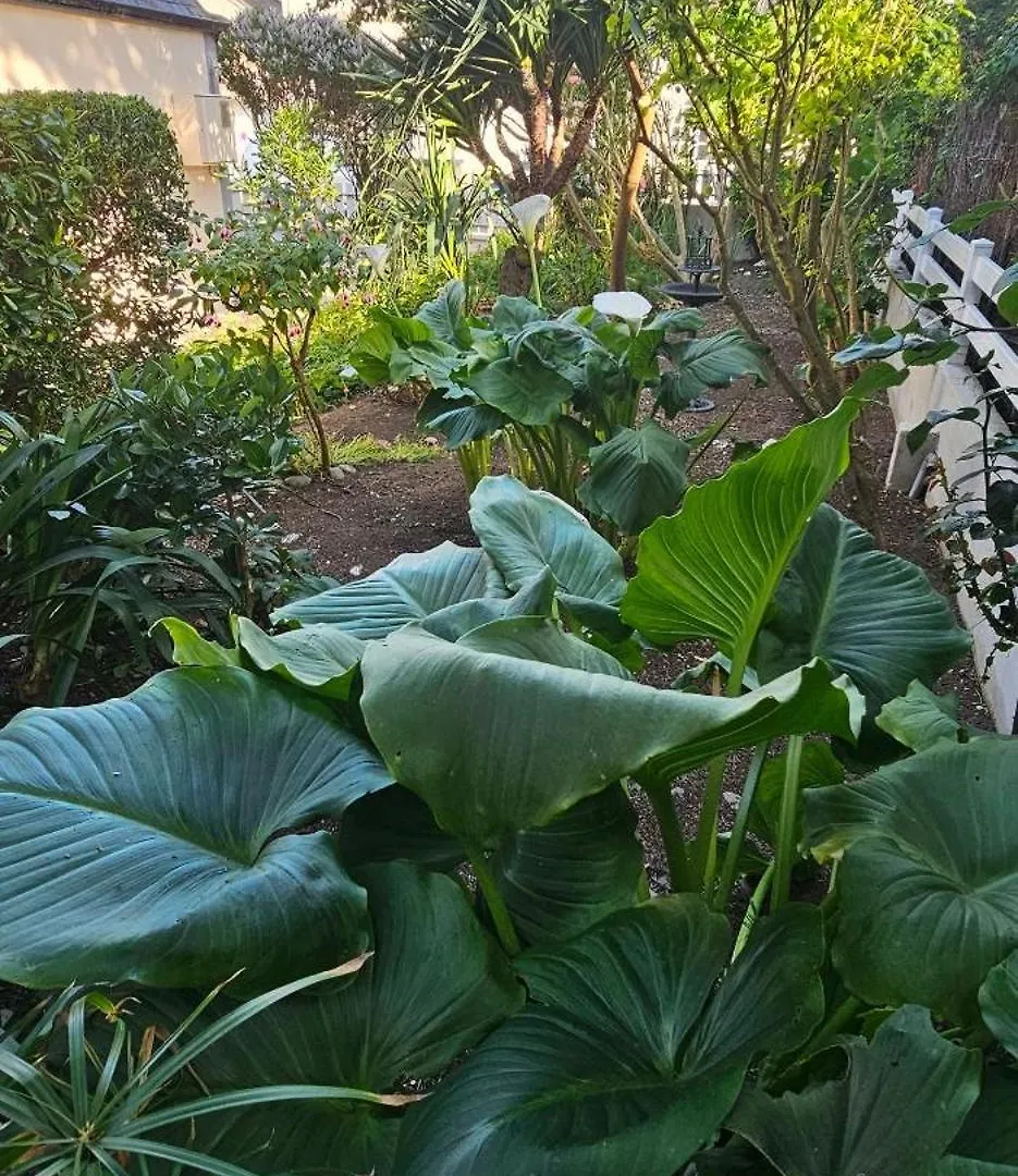 La Maison De Pecheur Typique Au Guilvinec - A 100 M De La Mer - Tout A Pied, Plage, Port, Commerces- Wifi Inclus - Linge De Lit Inclus - Jardin Clos - En Option , Menage Et Serviettes 0*,