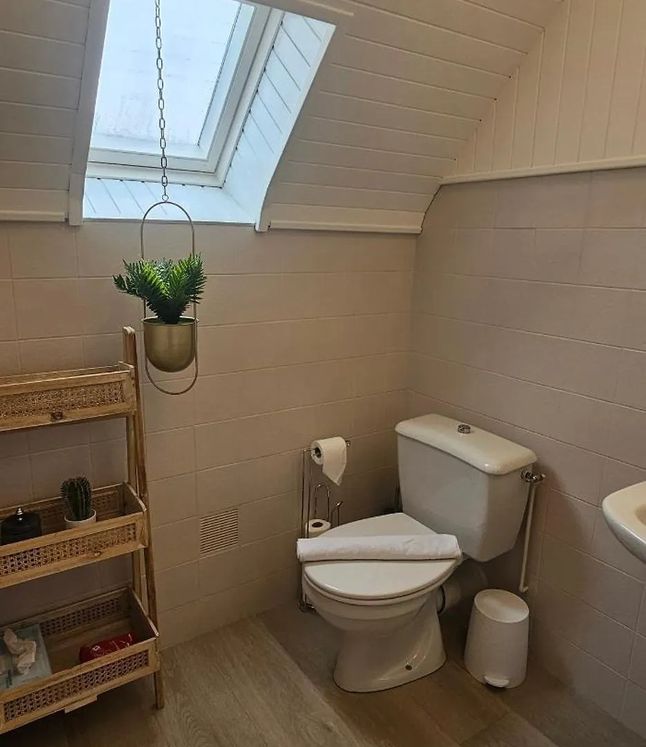 La Maison De Pecheur Typique Au Guilvinec - A 100 M De La Mer - Tout A Pied, Plage, Port, Commerces- Wifi Inclus - Linge De Lit Inclus - Jardin Clos - En Option , Menage Et Serviettes 펜션