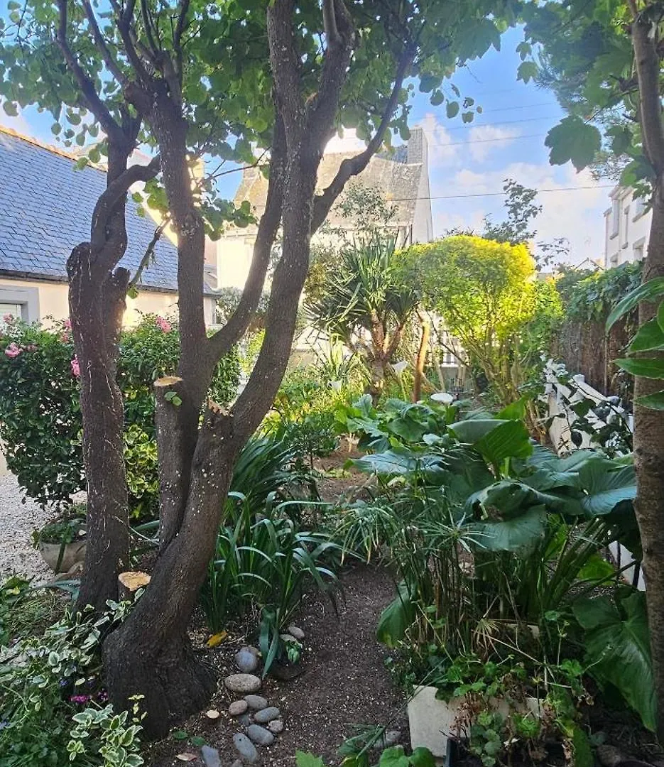 펜션 La Maison De Pecheur Typique Au Guilvinec - A 100 M De La Mer - Tout A Pied, Plage, Port, Commerces- Wifi Inclus - Linge De Lit Inclus - Jardin Clos - En Option , Menage Et Serviettes 프랑스