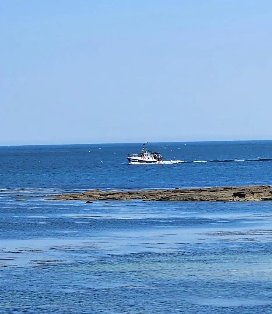 펜션 La Maison De Pecheur Typique Au Guilvinec - A 100 M De La Mer - Tout A Pied, Plage, Port, Commerces- Wifi Inclus - Linge De Lit Inclus - Jardin Clos - En Option , Menage Et Serviettes